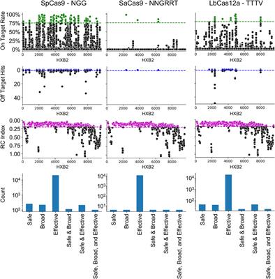 Computational analysis of cas proteins unlocks new potential in HIV-1 targeted gene therapy